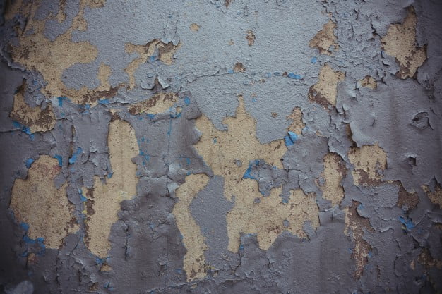 Can You Paint Over Mold?